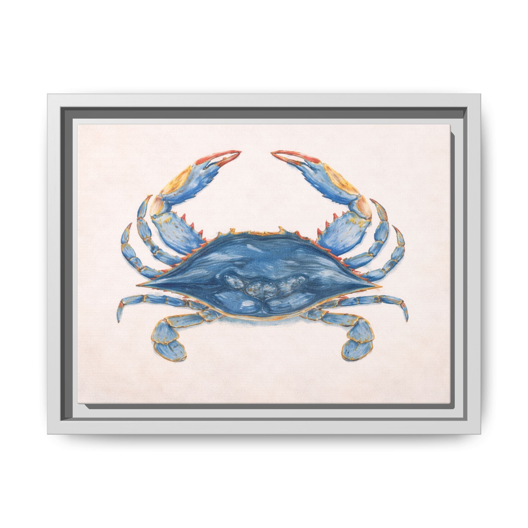Blue Crab Coastal Canvas Print — Framed Matte Wall Art